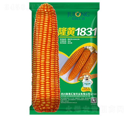 隆黃1831-玉米種子-聚隆匯智