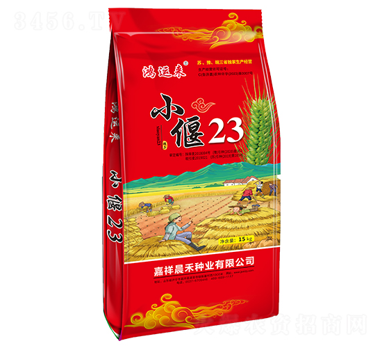 小偃23小麥種子-鴻運來-晨禾種業