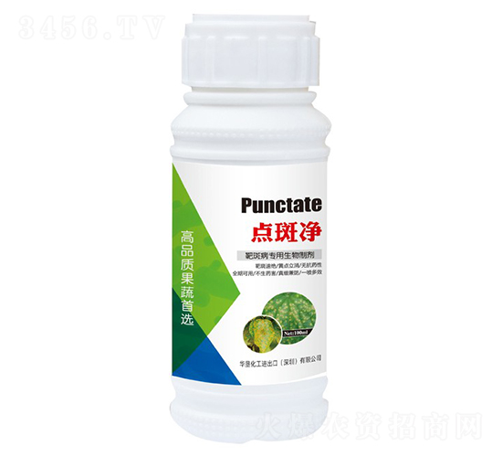 點斑凈