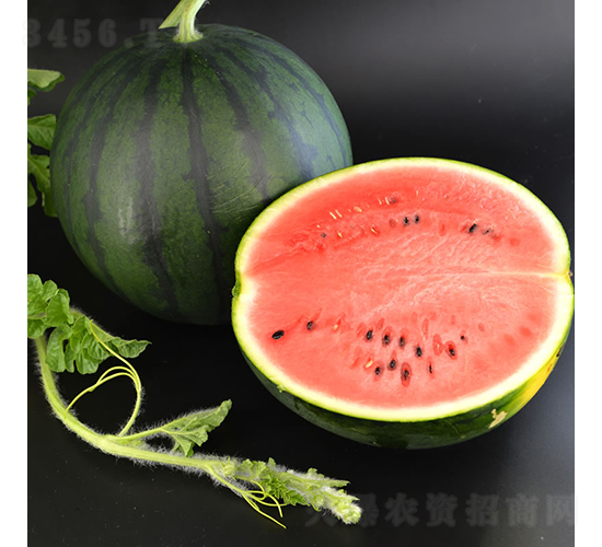 墨寶1號-西瓜種子-慶發禾盛