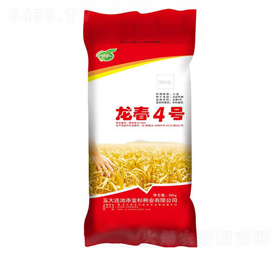 龍春4號-金杉種業