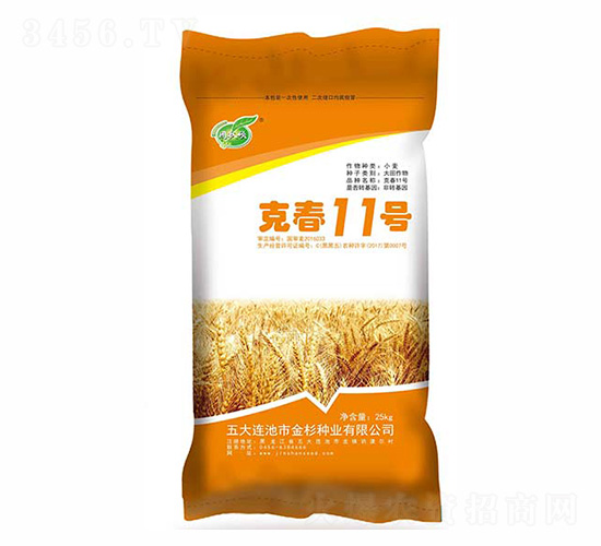 克春11號-金杉種業