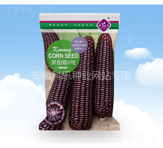 黑甜糯8號-科樂種業