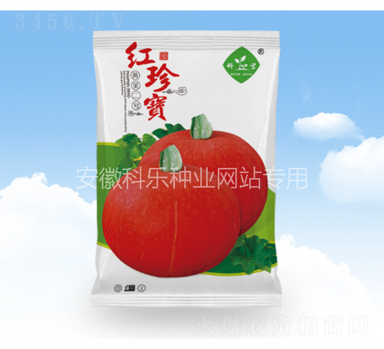 紅珍寶（黃金二號）-科樂種業