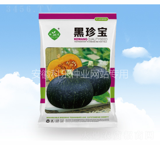 黑珍寶-科樂種業