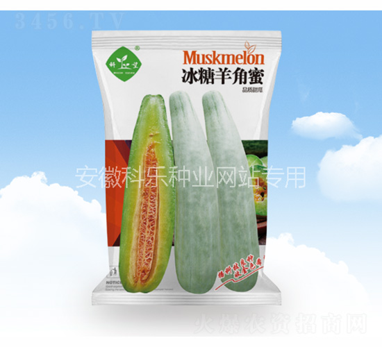 冰糖羊角蜜-科樂種業