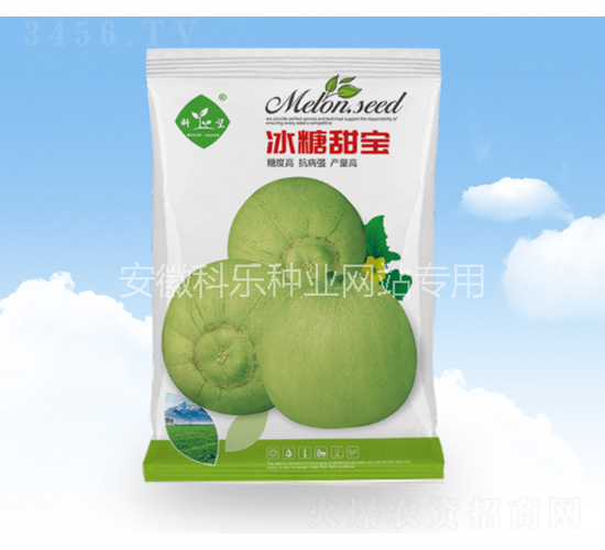 冰糖甜寶-科樂種業