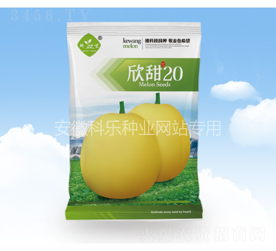 欣甜20-科樂種業