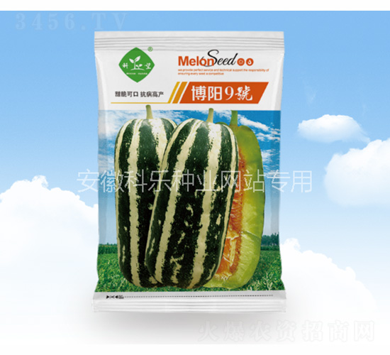 博陽9號-科樂種業