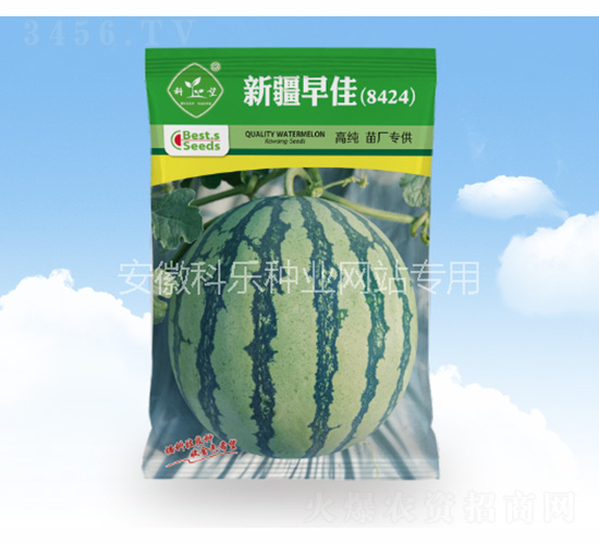 新疆早佳8424-科樂種業