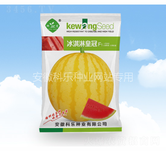 冰淇淋皇冠-科樂種業