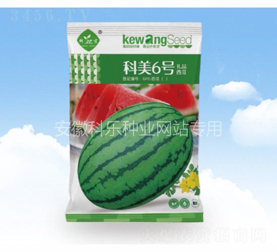 科美6號-科樂種業