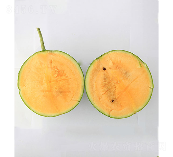 rƷ2̖-ϷN-rrI