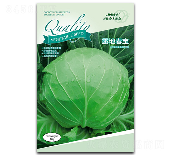 露地春寶-甘藍種子-金木茂和