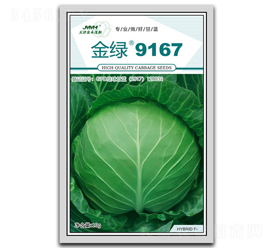 金綠9167-甘藍種子-金木茂和