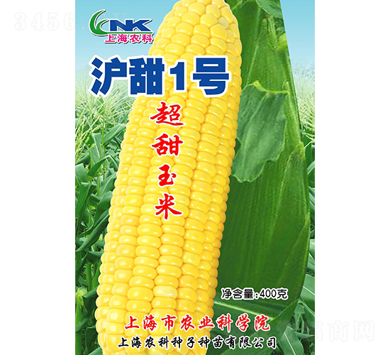 滬甜1號(hào)玉米種子-農(nóng)科種子