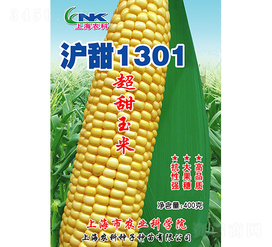 滬甜1301玉米種子-農(nóng)科種子