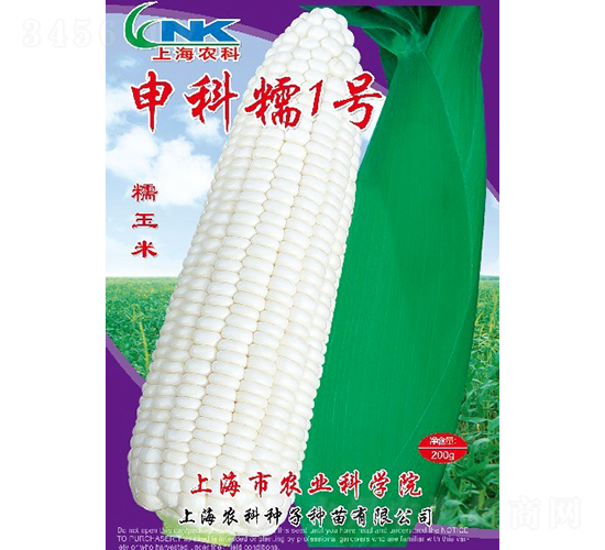 申科糯1號玉米種子-農科種子