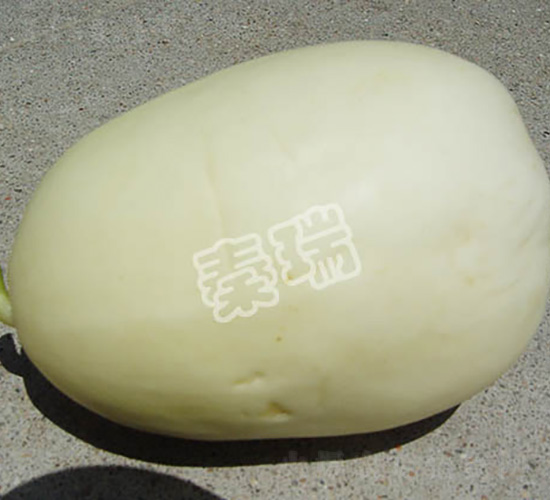 凌甜一號(hào)-甜瓜種子-秦瑞