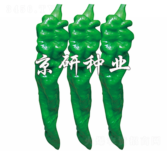 京旋103-辣椒種子-京研種業