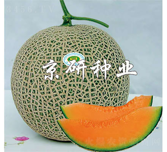 4̖-ϷN-зNI