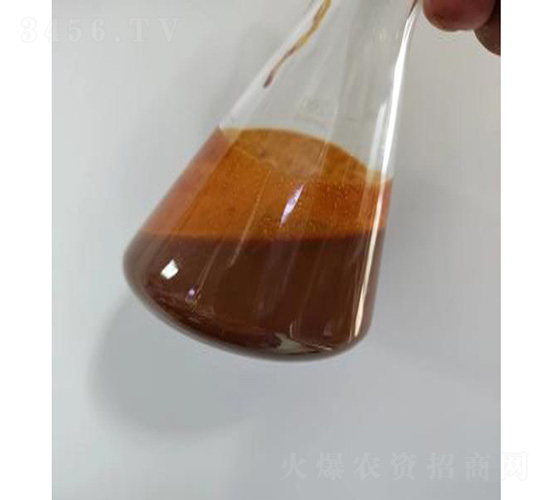 內蒙氨基酸液-灃瑞生物