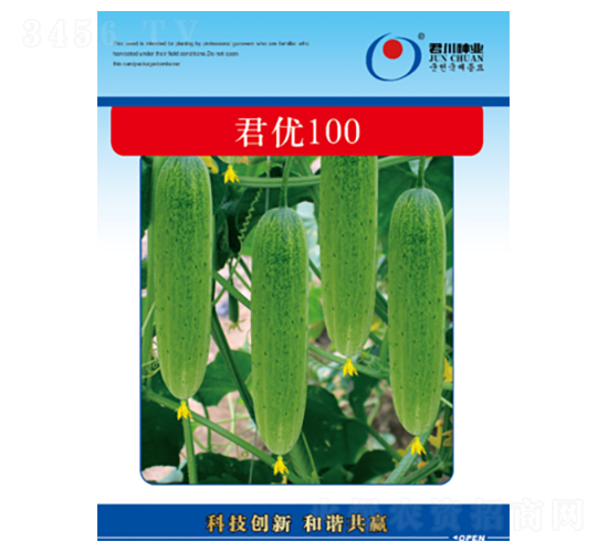 君優100-黃瓜種子-君川種業