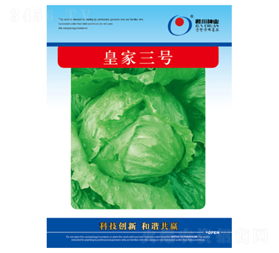 皇家三號-生菜種子-君川種業