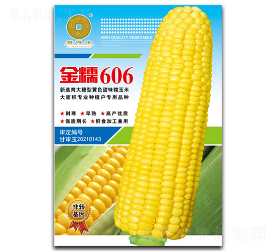 純黃糯金糯606-玉米種子-華為種業