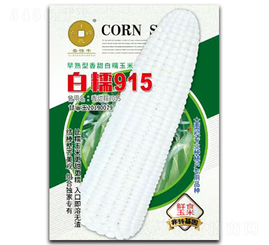 白糯915-玉米種子-華為種業