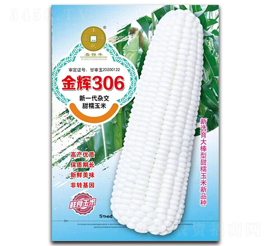 金輝306-玉米種子-華為種業