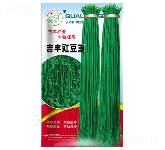 吉豐豇豆王-豇豆種子-吉豐種業