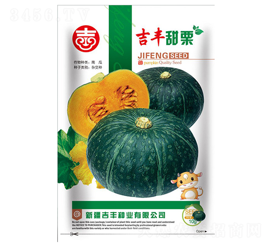 吉豐甜栗-南瓜種子-吉豐種業