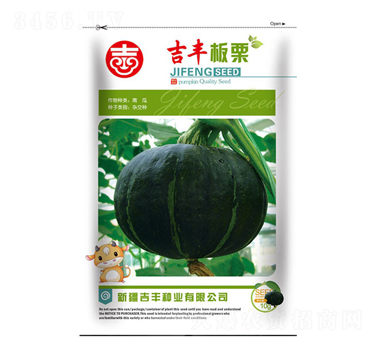 吉豐板栗-南瓜種子-吉豐種業