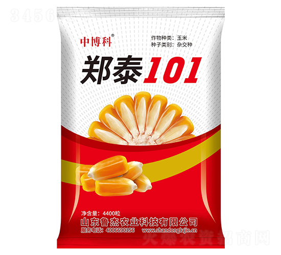 鄭泰101玉米種子-中博科-魯杰農業