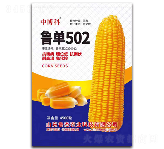 魯單502玉米種子-中博科-魯杰農業
