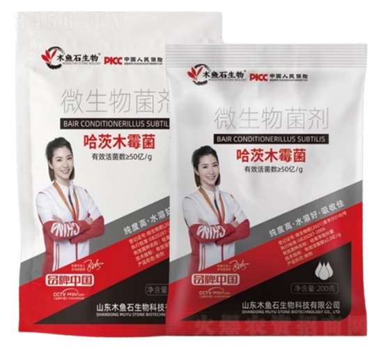 哈茨木霉菌-木魚石