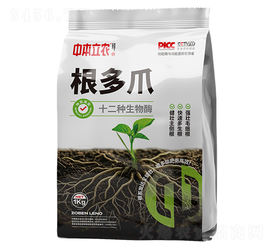 根多爪-中本立農