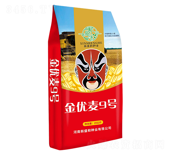 金優麥9號-小麥種子-紅太陽