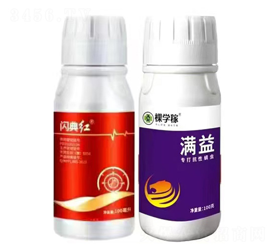 閃典紅+滿益-棵學稼