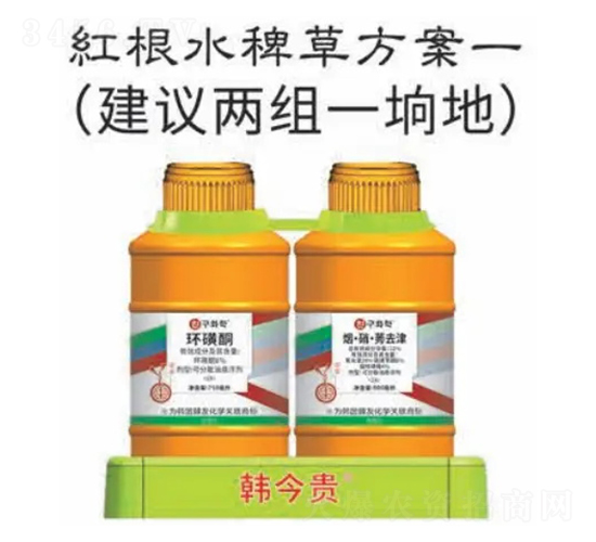 ç´…æ ¹æ°´ç¨—è‰æ–¹æ¡ˆ-éŸ“é‡‘è²´-éŸ“å‹åŒ–å­¸