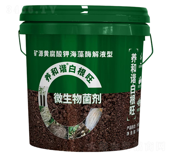 礦源黃腐酸鉀海藻酶解液型微生物菌劑-養(yǎng)和諧白根旺-廣宇通