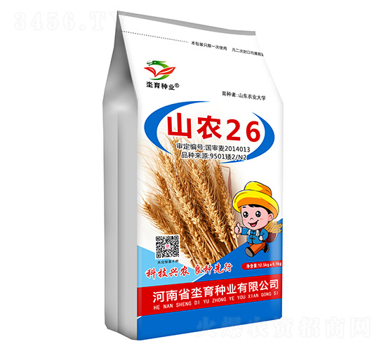 山農(nóng)26-小麥種子-有孚1號