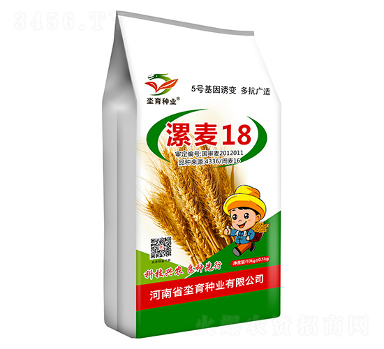 漯麥18-小麥種子-有孚1號