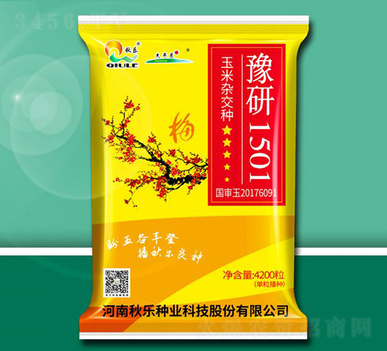 豫研1501-玉米種子-秋樂(lè)種業(yè)