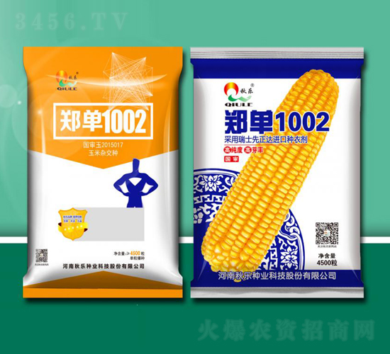 鄭單1002-玉米種子-秋樂種業