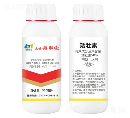 50%矮壯素-正世矮胖墩-寶典實業