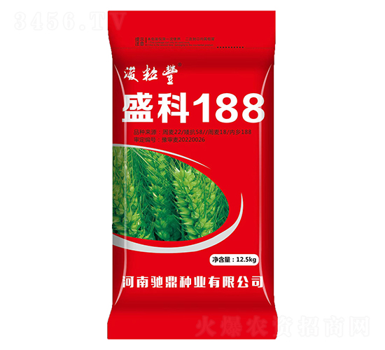 盛科188（12.5kg）-小麥種子-馳鼎種業