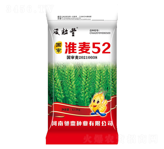 國審淮麥52（12.5kg）-小麥種子-馳鼎種業