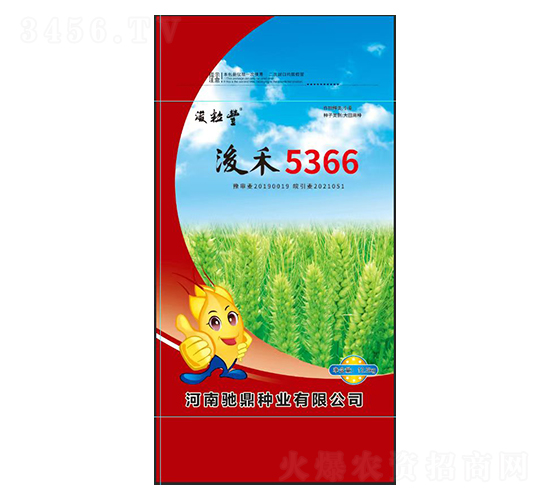 浚禾5366-小麥種子-馳鼎種業